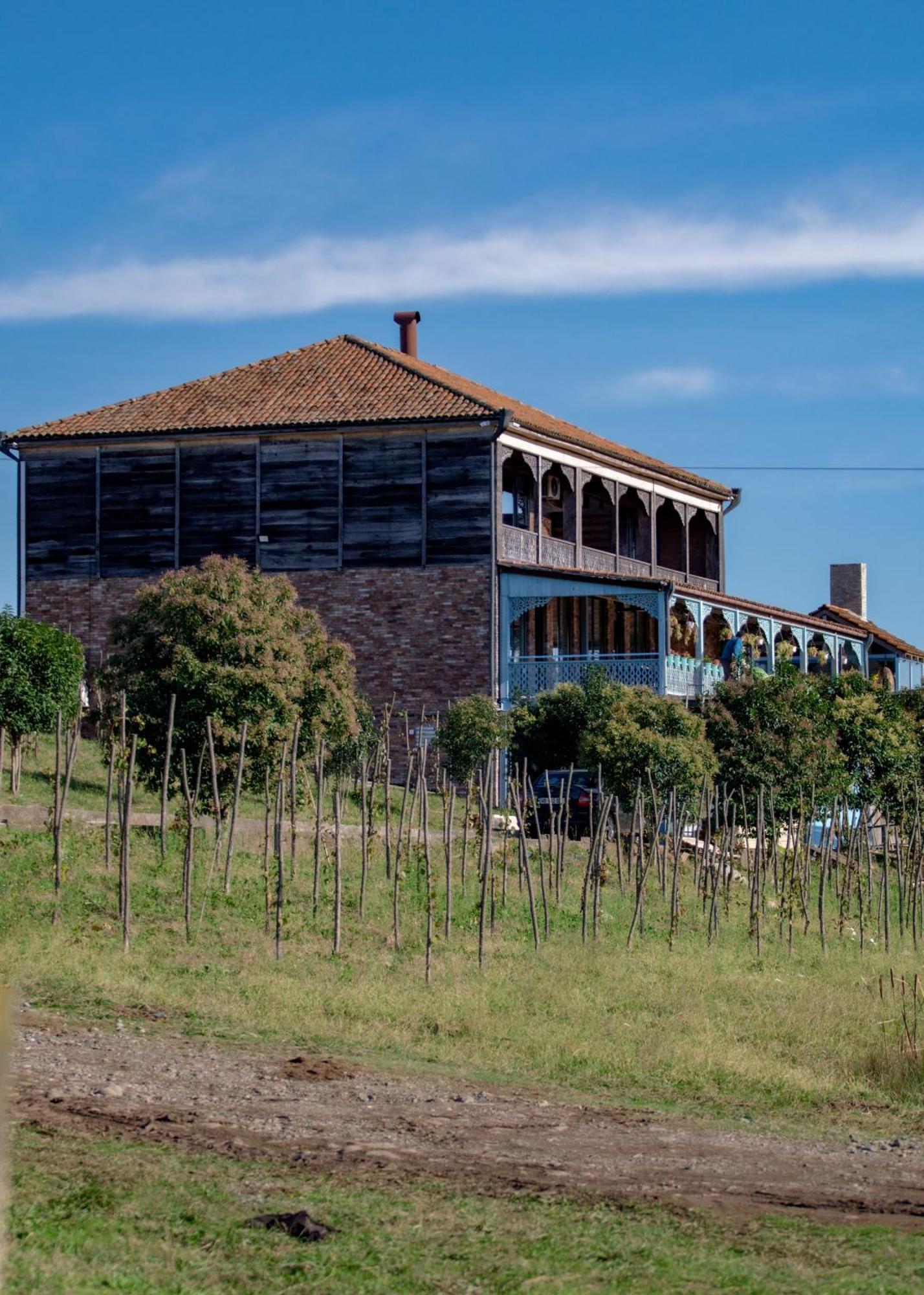 Chateau Vartsikhe Bagian luar foto