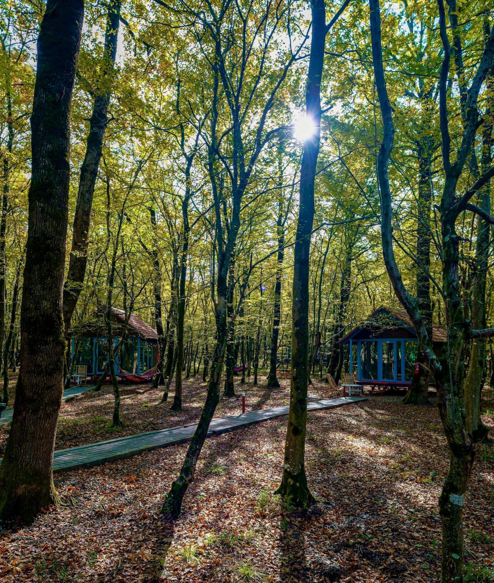 Chateau Vartsikhe Bagian luar foto
