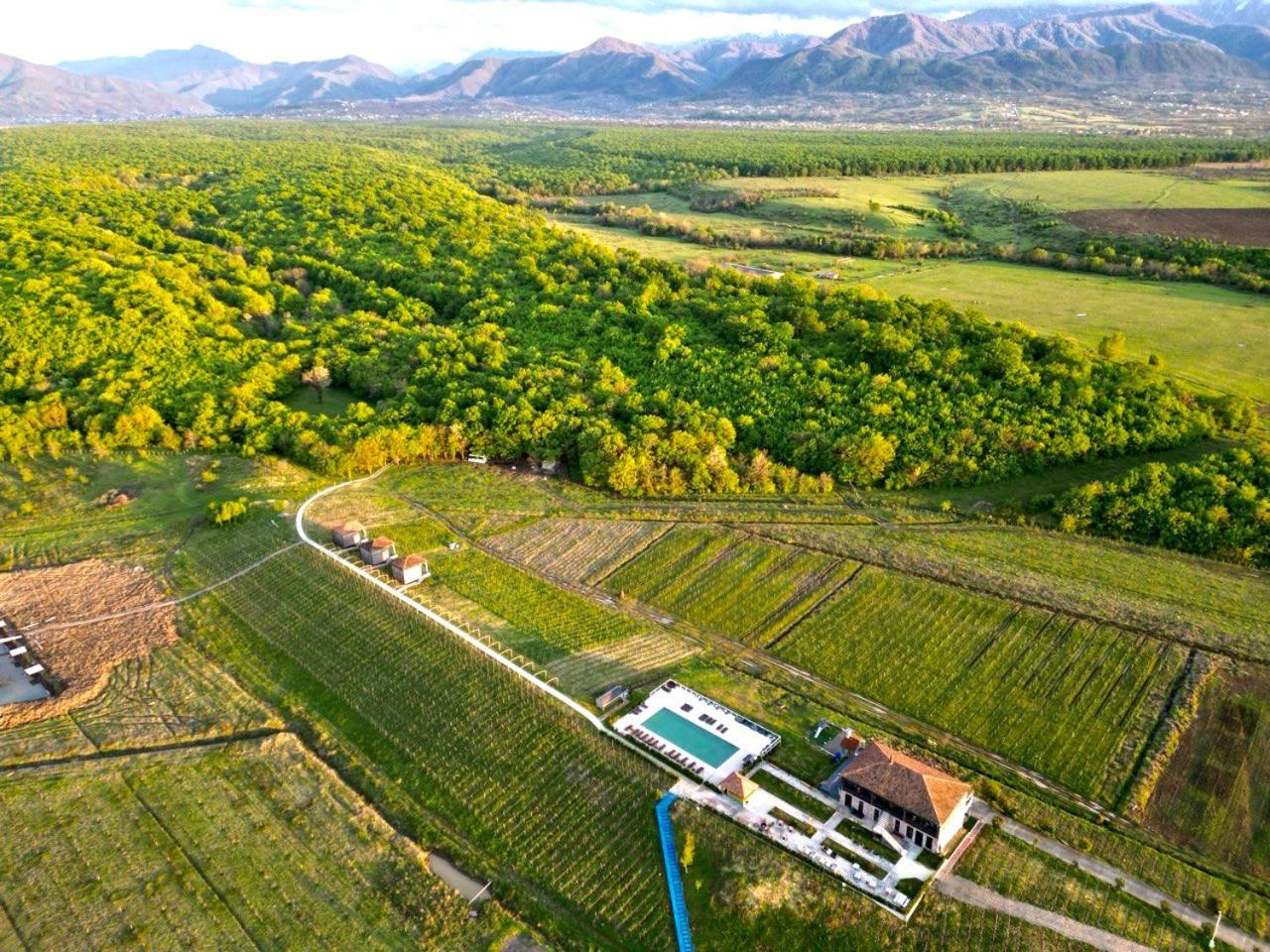 Chateau Vartsikhe Bagian luar foto
