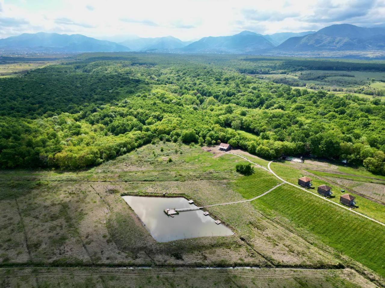 Chateau Vartsikhe Bagian luar foto