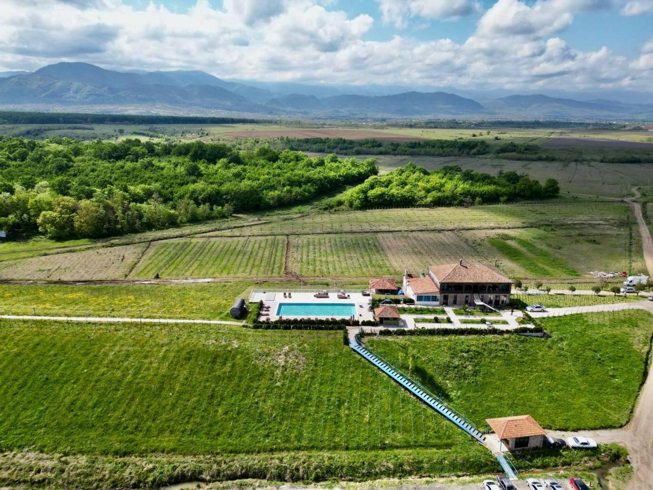 Chateau Vartsikhe Bagian luar foto