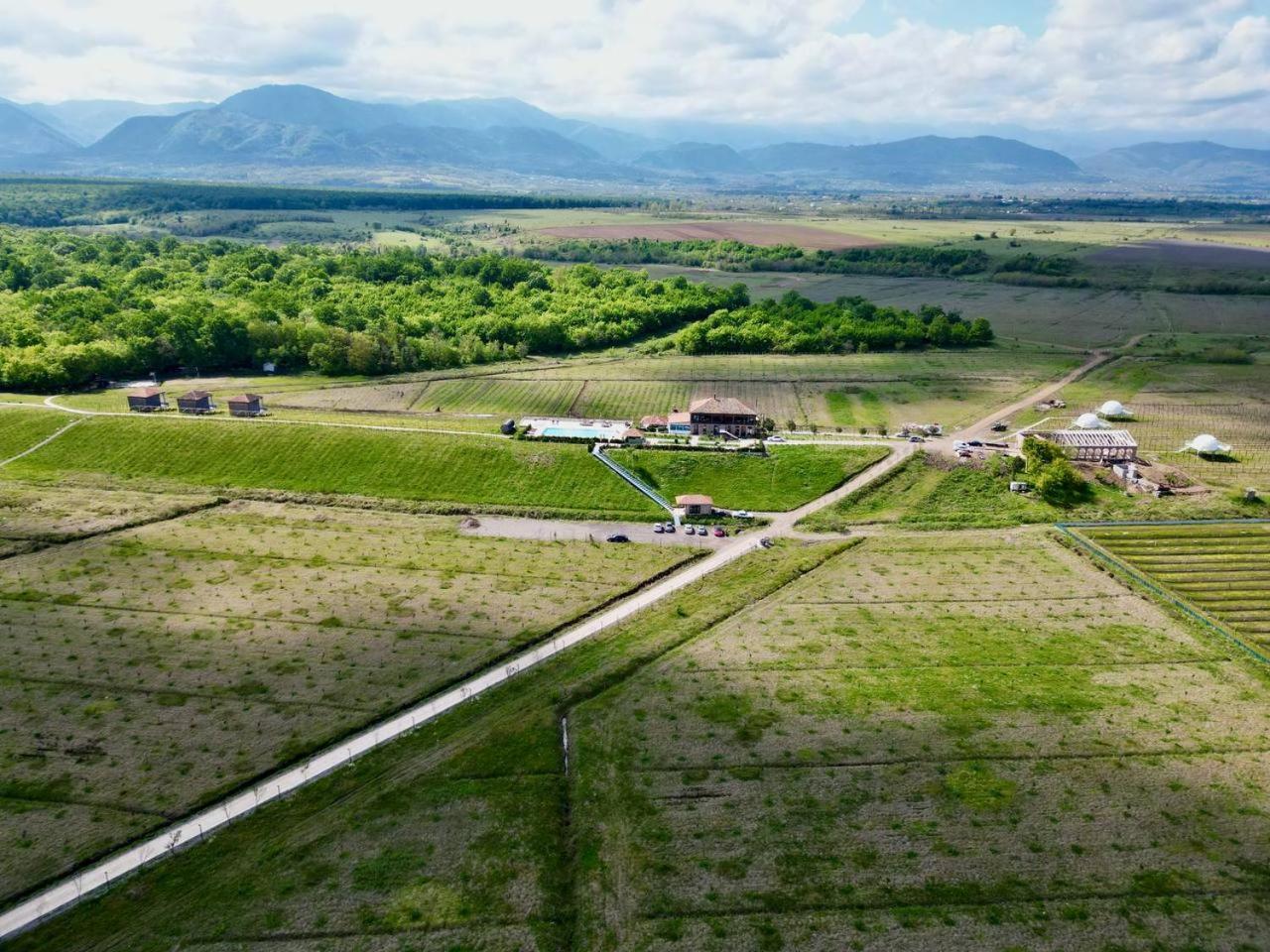 Chateau Vartsikhe Bagian luar foto