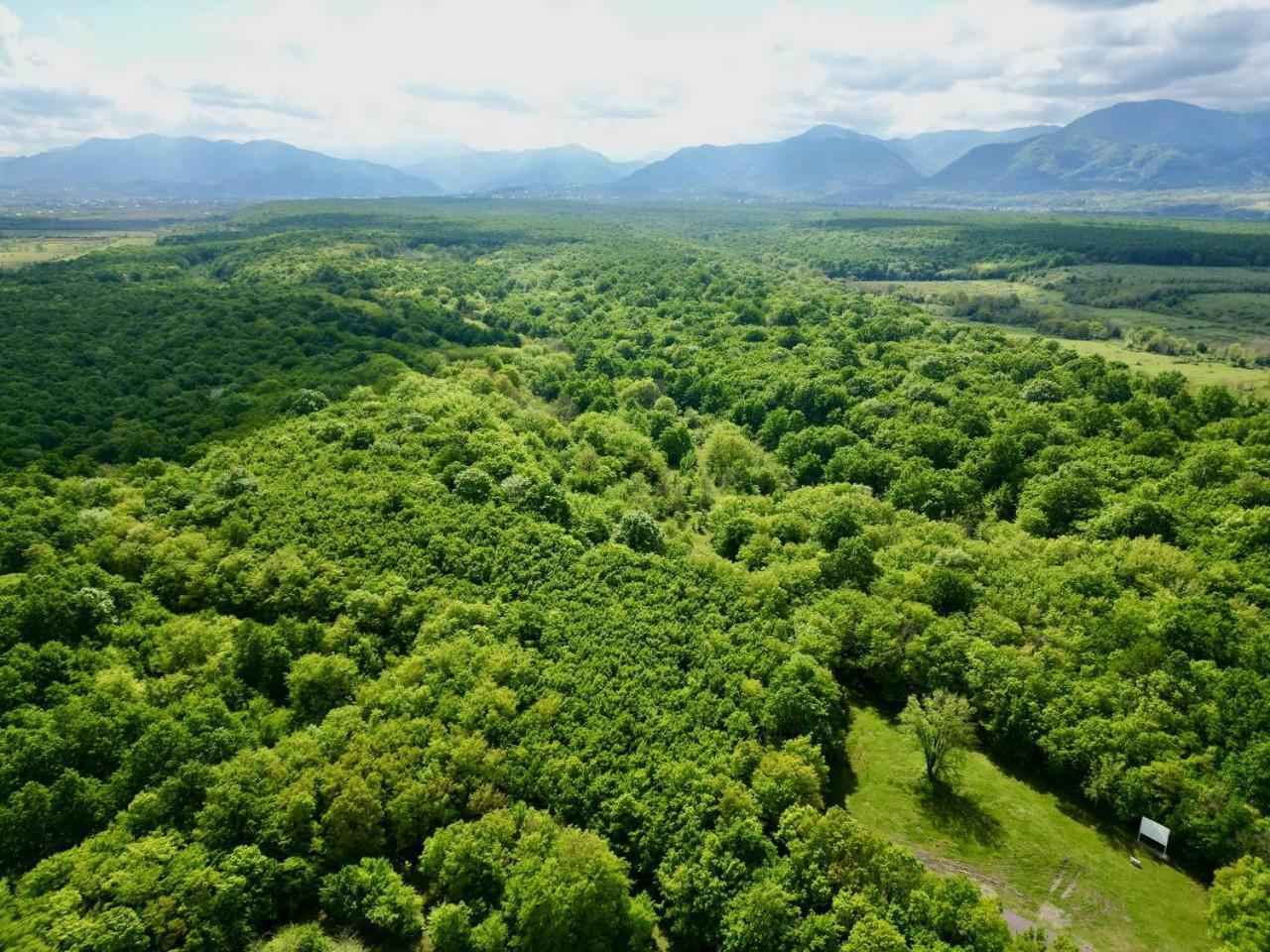 Chateau Vartsikhe Bagian luar foto