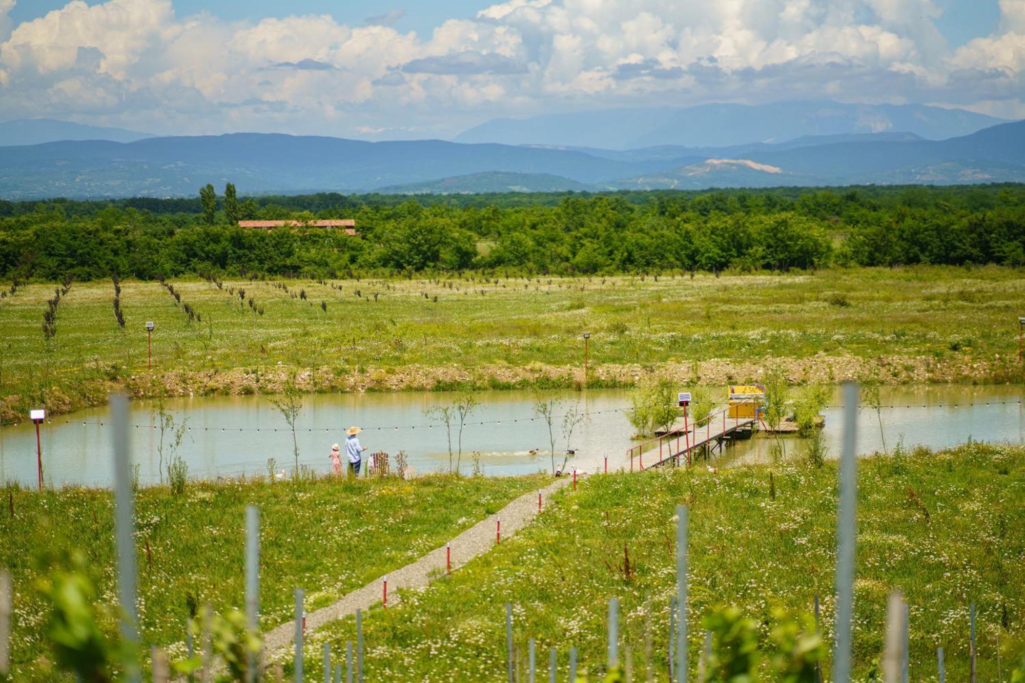 Chateau Vartsikhe Bagian luar foto